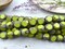 *16* 8mm Opaque Chartreuse Travertine Tri Cut Round Beads
